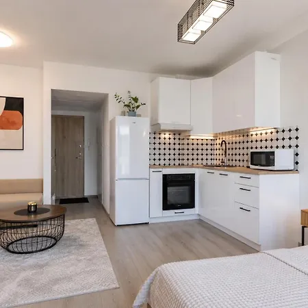 Apartament Vincent View Studio-near Clinic, Arena And Stadium Kowno