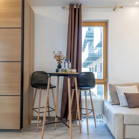 Vincent View Studio-near Clinic, Arena And Stadium Apartament Kowno